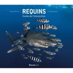 REQUINS GUIDE DE L\'INTERACTION TURTLE PROD