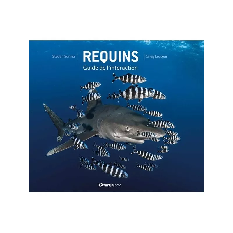 REQUINS GUIDE DE L\'INTERACTION TURTLE PROD