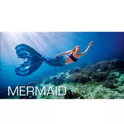 Pack Formation Mermaid + 3 Séances - SSI
