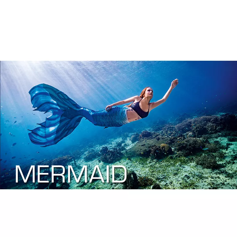 Pack Formation Mermaid + 3 Séances - SSI