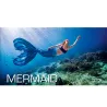 Pack Formation Mermaid + 3 Séances - SSI
