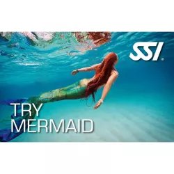Kit Numérique Try Mermaid - SSI
