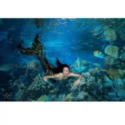 Pack Formation Mermaid + 5 Séances - SSI