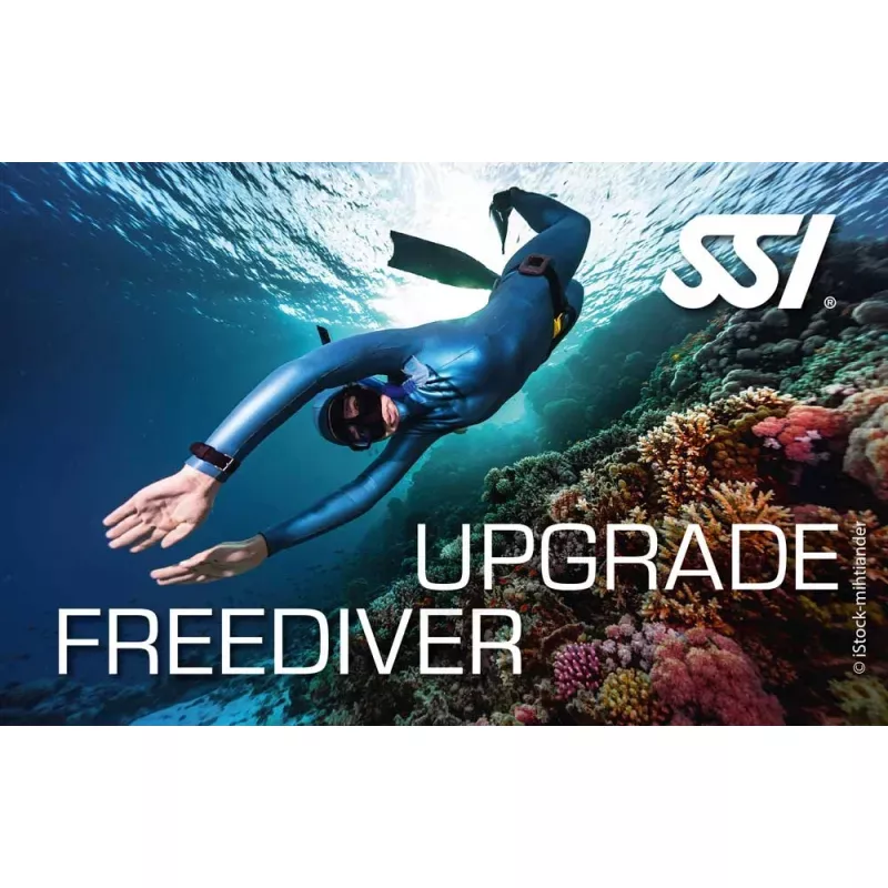 UPGRADE - POOL FREEDIVER VERS FREEDIVER