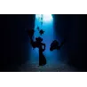 SÉANCE DE FORMATION PLONGEE WRECK DIVING