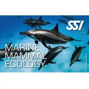 Kit numérique Marine Mammals Ecology SSI