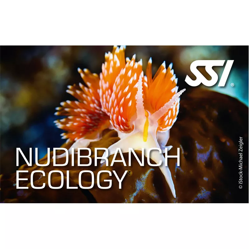 Kit numérique Nudibranchs Ecology - SSI