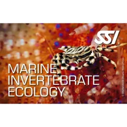 Kit numérique Marine Invertebrates Ecology - SSI
