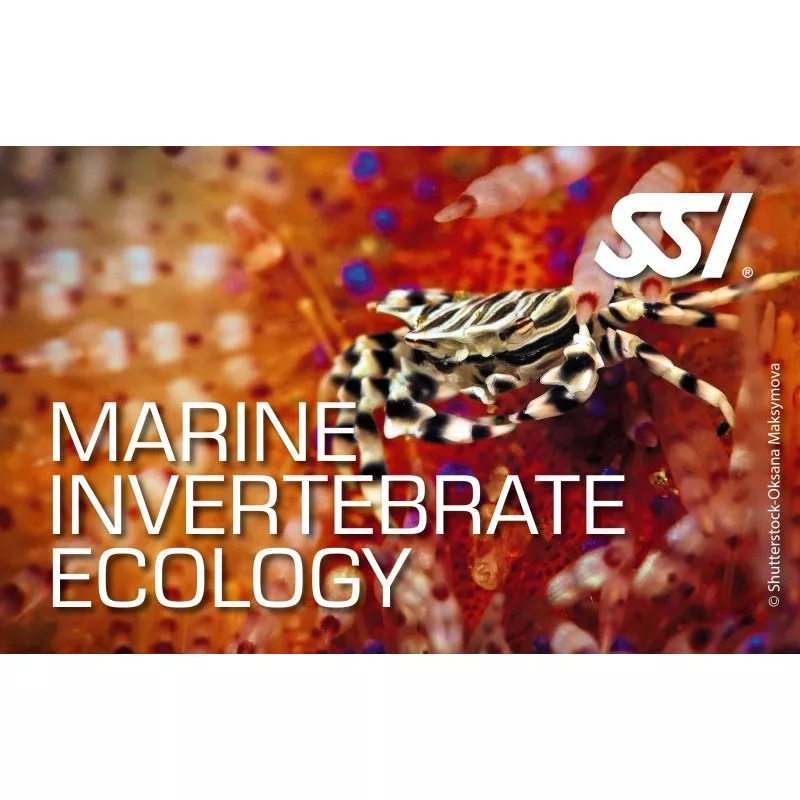 Kit numérique Marine Invertebrates Ecology - SSI
