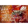 Kit numérique Marine Invertebrates Ecology - SSI